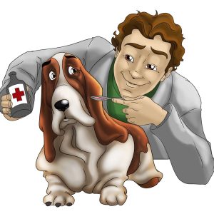 Köpeklere Hap – İlaç Nasıl Verilir?