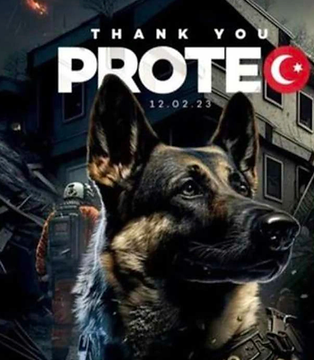 Doğanın İsimsiz Kahramanları